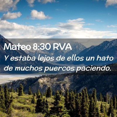 Picture 02 - Mateo 8:30 RVA - Y estaba lejos de ellos un hato de muchos puercos - Bible Verse Picture