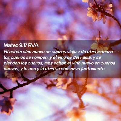 Picture 02 - Mateo 9:17 RVA - Ni echan vino nuevo en cueros viejos: de otra - Bible Verse Picture