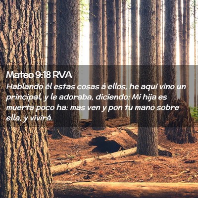 Picture 02 - Mateo 9:18 RVA - Hablando él estas cosas á ellos, he aquí vino - Bible Verse Picture