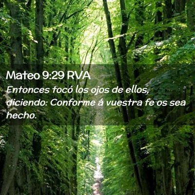 Picture 02 - Mateo 9:29 RVA - Entonces tocó los ojos de ellos, diciendo: - Bible Verse Picture