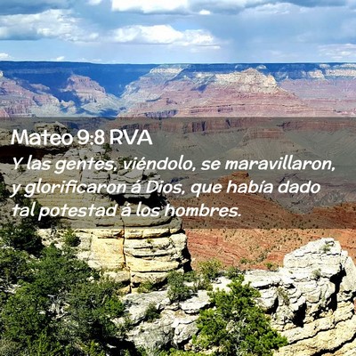 Picture 02 - Mateo 9:8 RVA - Y las gentes, viéndolo, se maravillaron, y - Bible Verse Picture