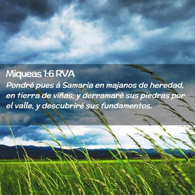 Picture 02 - Miqueas 1:6 RVA - Pondré pues á Samaria en majanos de heredad, en - Bible Verse Picture