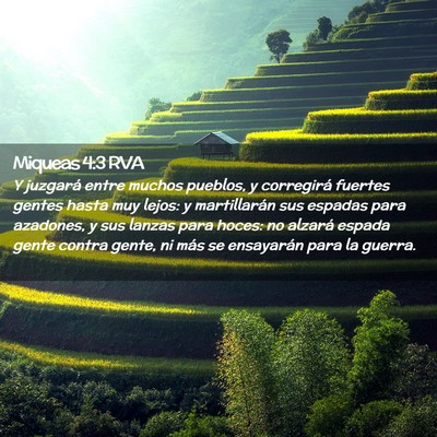 Picture 02 - Miqueas 4:3 RVA - Y juzgará entre muchos pueblos, y corregirá - Bible Verse Picture