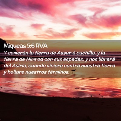Picture 02 - Miqueas 5:6 RVA - Y comerán la tierra de Assur á cuchillo, y la - Bible Verse Picture