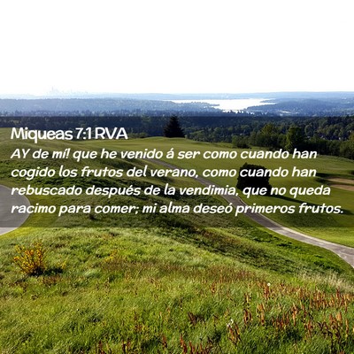 Picture 02 - Miqueas 7:1 RVA - AY de mí! que he venido á ser como cuando han - Bible Verse Picture