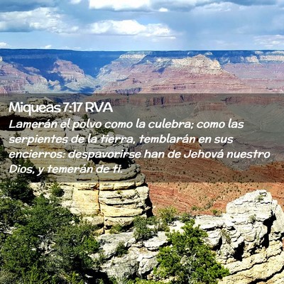 Picture 02 - Miqueas 7:17 RVA - Lamerán el polvo como la culebra; como las - Bible Verse Picture