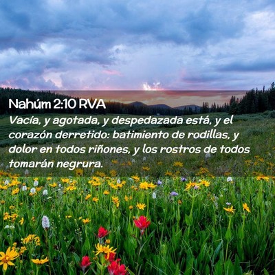 Picture 02 - Nahúm 2:10 RVA - Vacía, y agotada, y despedazada está, y el - Bible Verse Picture