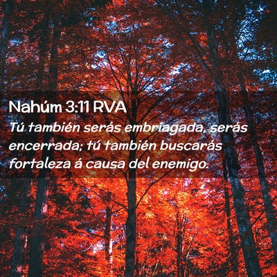 Picture 02 - Nahúm 3:11 RVA - Tú también serás embriagada, serás encerrada; - Bible Verse Picture