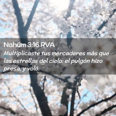 Picture 02 - Nahúm 3:16 RVA - Multiplicaste tus mercaderes más que las - Bible Verse Picture