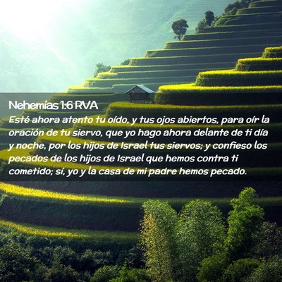 Picture 02 - Nehemías 1:6 RVA - Esté ahora atento tu oído, y tus ojos abiertos, - Bible Verse Picture