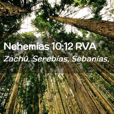 Picture 02 - Nehemías 10:12 RVA - Zachû, Serebías, - Bible Verse Picture