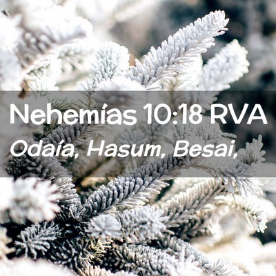 Picture 02 - Nehemías 10:18 RVA - Odaía, Hasum, - Bible Verse Picture