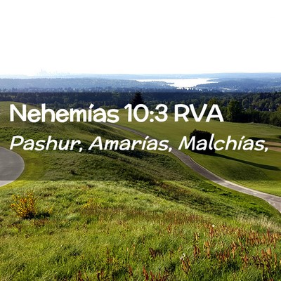 Picture 02 - Nehemías 10:3 RVA - Pashur, Amarías, - Bible Verse Picture