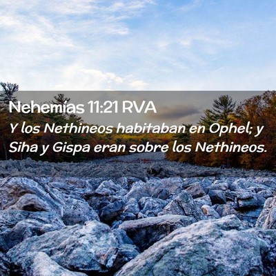 Picture 02 - Nehemías 11:21 RVA - Y los Nethineos habitaban en Ophel; y Siha y - Bible Verse Picture