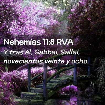 Picture 02 - Nehemías 11:8 RVA - Y tras él, Gabbai, Sallai, novecientos veinte y - Bible Verse Picture