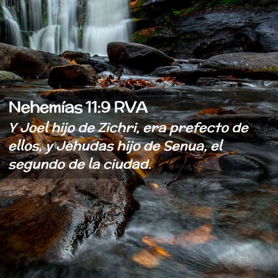 Picture 02 - Nehemías 11:9 RVA - Y Joel hijo de Zichri, era prefecto de ellos, y - Bible Verse Picture