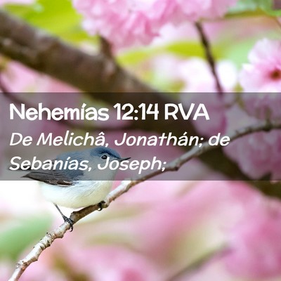 Picture 02 - Nehemías 12:14 RVA - De Melichâ, Jonathán; de Sebanías, - Bible Verse Picture