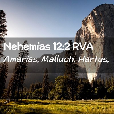 Picture 02 - Nehemías 12:2 RVA - Amarías, Malluch, - Bible Verse Picture