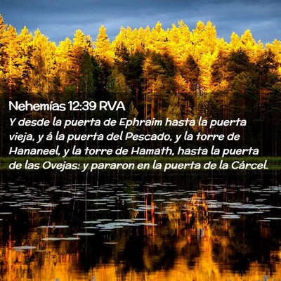 Picture 02 - Nehemías 12:39 RVA - Y desde la puerta de Ephraim hasta la puerta - Bible Verse Picture