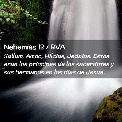 Picture 02 - Nehemías 12:7 RVA - Sallum, Amoc, Hilcías, Jedaías. Estos eran los - Bible Verse Picture