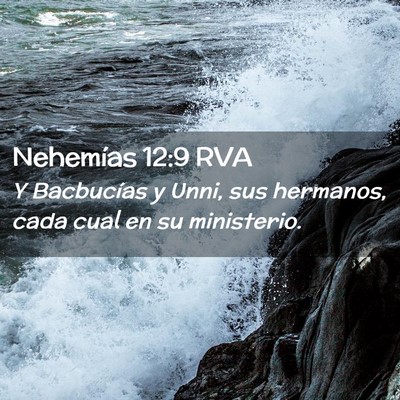Picture 02 - Nehemías 12:9 RVA - Y Bacbucías y Unni, sus hermanos, cada cual en - Bible Verse Picture