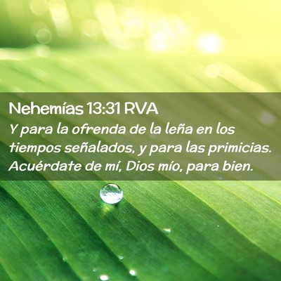 Picture 02 - Nehemías 13:31 RVA - Y para la ofrenda de la leña en los tiempos - Bible Verse Picture