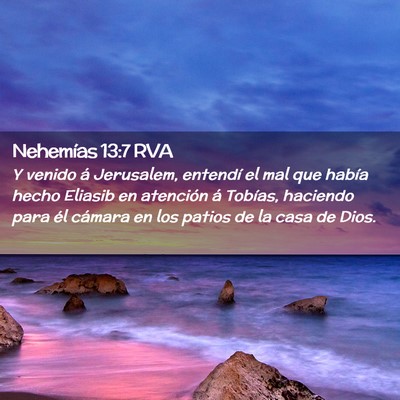 Picture 02 - Nehemías 13:7 RVA - Y venido á Jerusalem, entendí el mal que había - Bible Verse Picture