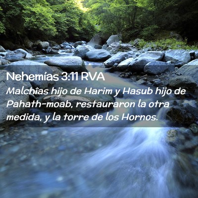 Picture 02 - Nehemías 3:11 RVA - Malchîas hijo de Harim y Hasub hijo de - Bible Verse Picture
