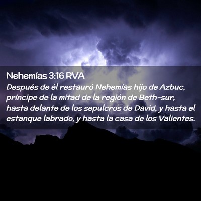 Picture 02 - Nehemías 3:16 RVA - Después de él restauró Nehemías hijo de - Bible Verse Picture
