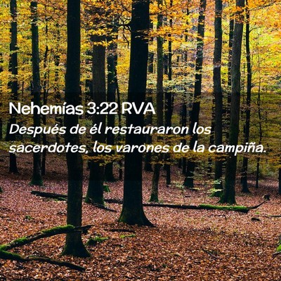 Picture 02 - Nehemías 3:22 RVA - Después de él restauraron los sacerdotes, los - Bible Verse Picture