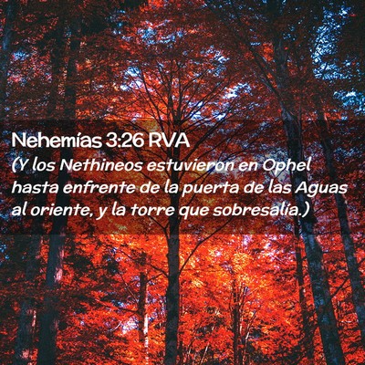 Picture 02 - Nehemías 3:26 RVA - (Y los Nethineos estuvieron en Ophel hasta - Bible Verse Picture