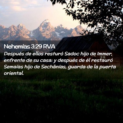 Picture 02 - Nehemías 3:29 RVA - Después de ellos resturó Sadoc hijo de Immer, - Bible Verse Picture