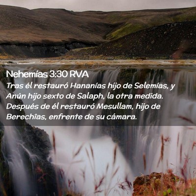 Picture 02 - Nehemías 3:30 RVA - Tras él restauró Hananías hijo de Selemías, y - Bible Verse Picture