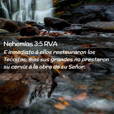 Picture 02 - Nehemías 3:5 RVA - E inmediato á ellos restauraron los Tecoitas; - Bible Verse Picture