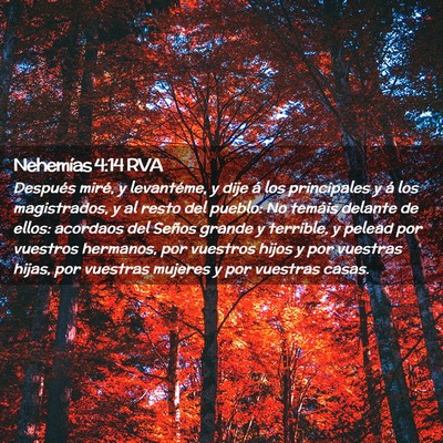 Picture 02 - Nehemías 4:14 RVA - Después miré, y levantéme, y dije á los - Bible Verse Picture