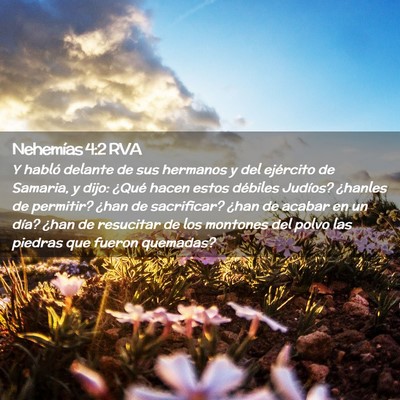 Picture 02 - Nehemías 4:2 RVA - Y habló delante de sus hermanos y del ejército - Bible Verse Picture