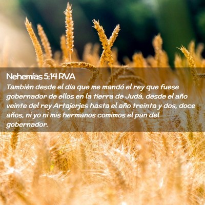 Picture 02 - Nehemías 5:14 RVA - También desde el día que me mandó el rey que - Bible Verse Picture