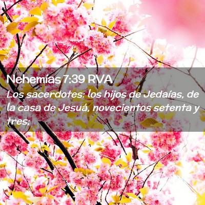 Picture 02 - Nehemías 7:39 RVA - Los sacerdotes: los hijos de Jedaías, de la casa - Bible Verse Picture