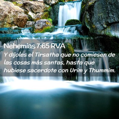 Picture 02 - Nehemías 7:65 RVA - Y díjoles el Tirsatha que no comiesen de las - Bible Verse Picture