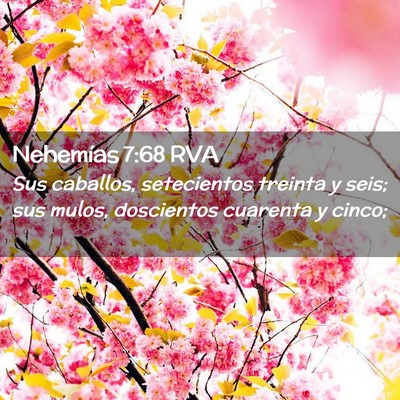 Picture 02 - Nehemías 7:68 RVA - Sus caballos, setecientos treinta y seis; sus - Bible Verse Picture