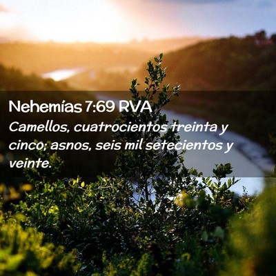 Picture 02 - Nehemías 7:69 RVA - Camellos, cuatrocientos treinta y cinco; asnos, - Bible Verse Picture