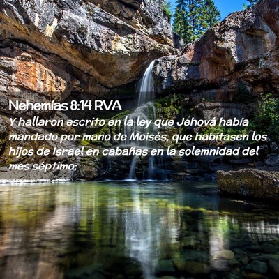 Picture 02 - Nehemías 8:14 RVA - Y hallaron escrito en la ley que Jehová había - Bible Verse Picture