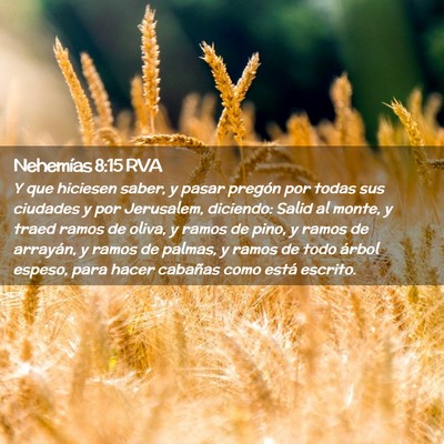 Picture 02 - Nehemías 8:15 RVA - Y que hiciesen saber, y pasar pregón por todas - Bible Verse Picture