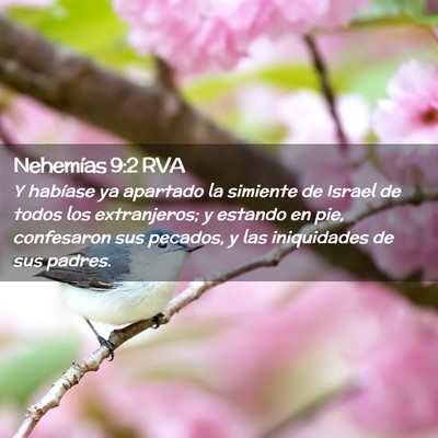 Picture 02 - Nehemías 9:2 RVA - Y habíase ya apartado la simiente de Israel de - Bible Verse Picture