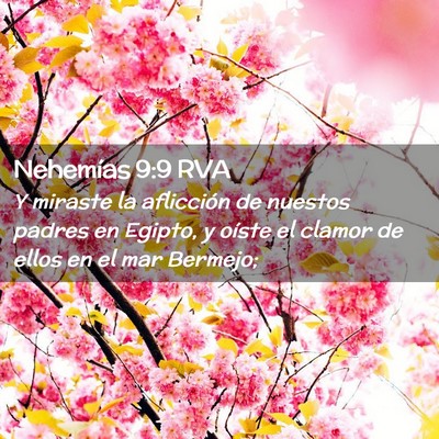 Picture 02 - Nehemías 9:9 RVA - Y miraste la aflicción de nuestos padres en - Bible Verse Picture