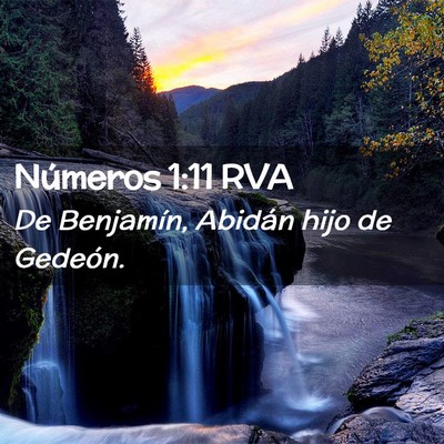 Picture 02 - Números 1:11 RVA - De Benjamín, Abidán hijo de - Bible Verse Picture