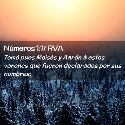 Picture 02 - Números 1:17 RVA - Tomó pues Moisés y Aarón á estos varones que - Bible Verse Picture