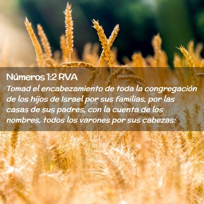 Picture 02 - Números 1:2 RVA - Tomad el encabezamiento de toda la congregación - Bible Verse Picture