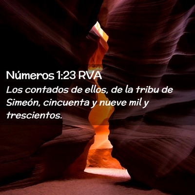 Picture 02 - Números 1:23 RVA - Los contados de ellos, de la tribu de Simeón, - Bible Verse Picture