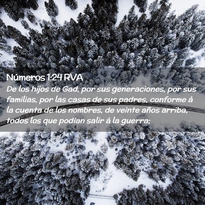 Picture 02 - Números 1:24 RVA - De los hijos de Gad, por sus generaciones, por - Bible Verse Picture